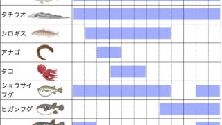 東京湾 釣り物カレンダー【月別早見表】今釣れる魚と旬の時期一覧