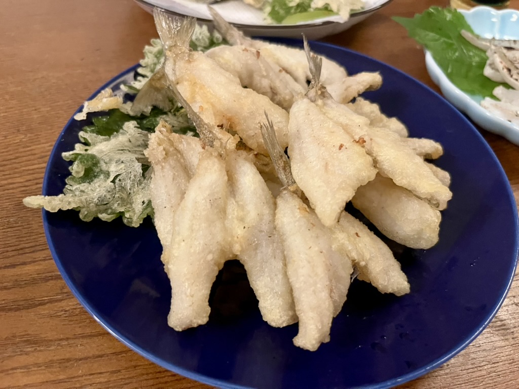 シロギス船釣り完全ガイド|仕掛け・タックル・釣り方からレシピまで徹底解説