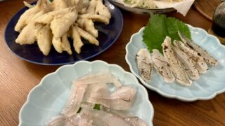 シロギス料理の絶品レシピ6選｜釣り人だけの刺身・炙りから定番天ぷらまで