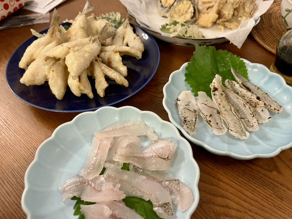 シロギス料理の絶品レシピ6選｜釣り人だけの刺身・炙りから定番天ぷらまで